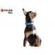 Material Nylon Sport Dog Collar Lightweight Adjustable Fit Dog Training / Walking
