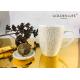 350CC New Bone China Mug Ceramic Tea Cup  Ceramic Gift Set