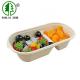 Compostable Bagasse Biodegradable Food Trays 2 Compartments Fruit Salad Tray