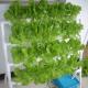 PO The Ultimate Solution for Vertical Farming in Multi-Span Agricultural Greenhouses