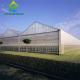 Agricultural Farm Plant Vegetable PC Sheet Greenhouse With Ventilation System