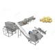 CE certified commercial Garlic Separating Peeling Packaging Production Line Garlic Peeler Machine Project