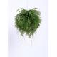 Stylish 65CM Artificial Hanging Plants Exotic Display For Harried Modern Lifestyle