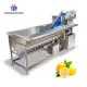 180KG Stainless steel multi-functional vegetable cleaning machine vegetable cleaning equipment