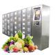 24 Hours Vending Lockers Automatic Stainless Steel Vegetable Fruit