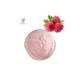 Hot Selling Product Bulk Supply Raspberry Powder / Raspberry Pure Juice Powder