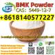 BMK Glycidic Powder  CAS 5449-12-7 BMK chemical factories low price