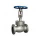 Double flanged industrial cast steel gate valve