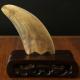 Real Material Natural Ox-Horn Guasha Boards for Facial SPA Massager Engrave Your Logo