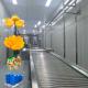 SUS304 Industrial Mango Juice Processing Machine 20T/H ISO9001