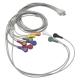Vasomedical Biocare Holter ECG Cable and Leadwires 10 leads cable