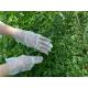 M Transparent Plastic Tpe Powder Free Disposable Gloves 100pcs