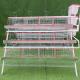3 Tier A Type Automatic Layer Chicken Cage Egg Farm Laying Hens Poultry Battery