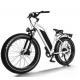 40-50km 700W Electric Bicycle Fat Bike 7 Speed Black