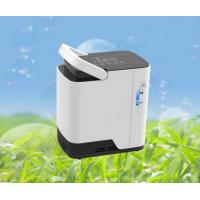 Single Flow Portable 2 Litre Oxygen Concentrator Home Use 220v