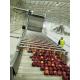 Industrial Apple Processing Line Fruit Juice Processing Equipment