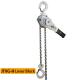 Stainless Steel Corrosion Resistant Chain Hoist 1Ton