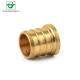 Forged Brass CUPC NSF 1 Threaded End Plug For Round Tubing