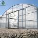 Commercial Multi Span Greenhouse Galvanized Steel PC Sheet Span 12m