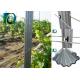 Recyclable Grape Vine Stakes 1.5MM Thick