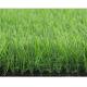 OEM Garden Artificial Grass Environment Friendly Keeping Evergreen
