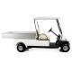 Electric 48v  transportation Utility Golf Cart With Silver Aluminum box For Resorts