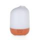 Ultrasonic Bluetooth Smart Essential Oil Diffuser 300ml For Hotel Bedroom