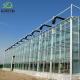 Garden Vegetables and Flowers Arched Roof Glass Greenhouse with Hydroponics System