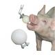 High quality Pig Bite Ball /Anti-Bite ball diameter 75 mm galvanized/Toy Ball for pig biting Small made of polyurethane