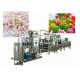 Round Type Chewing Gum Color Coating Making Machine 304 Stainless Steel