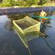 Direct 0.5mm Eco-Friendly HDPE Plastic Geomembrane for Fish Pond Roll Length 50-200m