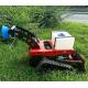 Weed Remover Agricultural Lawn Mower TUV Walk Behind Mower 550mm