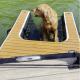 Custom LogoInflatable Boat Dog Ladder Climb Ramp Platform Inflatable Water Ramp For Dog