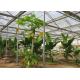 Tomato Planting Ecological Greenhouse Steel Structure Main Frame Long Lifetime