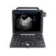 15'' LCD Portable Veterinary Ultrasound Machine 2D Gray Scale Imaging