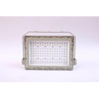 135lm/w Efficiency Explosion Proof Flood Light CRI Ra 80 AC100-277V