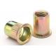 Carbon Steel Flat Head Rivet Nut , Threaded Rivet Nuts Yellow Zinc Plated