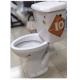 Skirted Dual Flush Two Piece Toilets White P Trap Wc With Water Tank Split