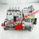 Electronic Fuel Injection Pump Diesel Engine Spare Parts VE Fuel Pump 0460424376G 0 460 424 376