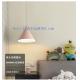 Creative  Dining Room Hanging  Lamp For Pendant  Lightings 105w Many Color