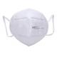 Anti PM2.5 Disposable Nose Mask