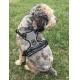 No Pull No Choke Dog Harness With 3 Snap Buckles