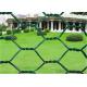 PVC Coated Width 2.0m BWG22 Diamond Wire Netting