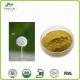 High Quality pure natural Dandelion root powder