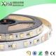 RGBCCT 5 in one LED five colors in one chip RGB WW W full color rgbwww 30 60 72leds 12v RGB+CCT DC24V LED Strip Lights
