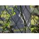 SUS304 Stainless Steel Cable Trellis / Vertical Fence Wire For Climbing Plants 100mm