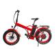 Multifunctional Portable Electric Bicycle Folding 48V 500W 20 Tire
