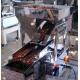 10WPM Auto Weighing Filling And Sealing Machine Single Head 3L Linear Weigher Food Grade