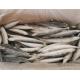 IQF Frozen 90g 100g Muroaji Fish With 24 Months Shelf Life