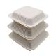 9x9inch Disposable Microwavable Clamshell Takeaway Boxes